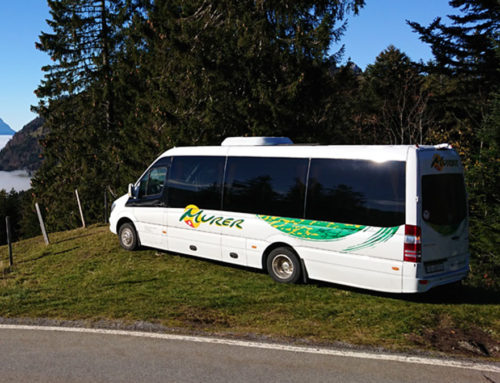 Mercedes Sprinter 519